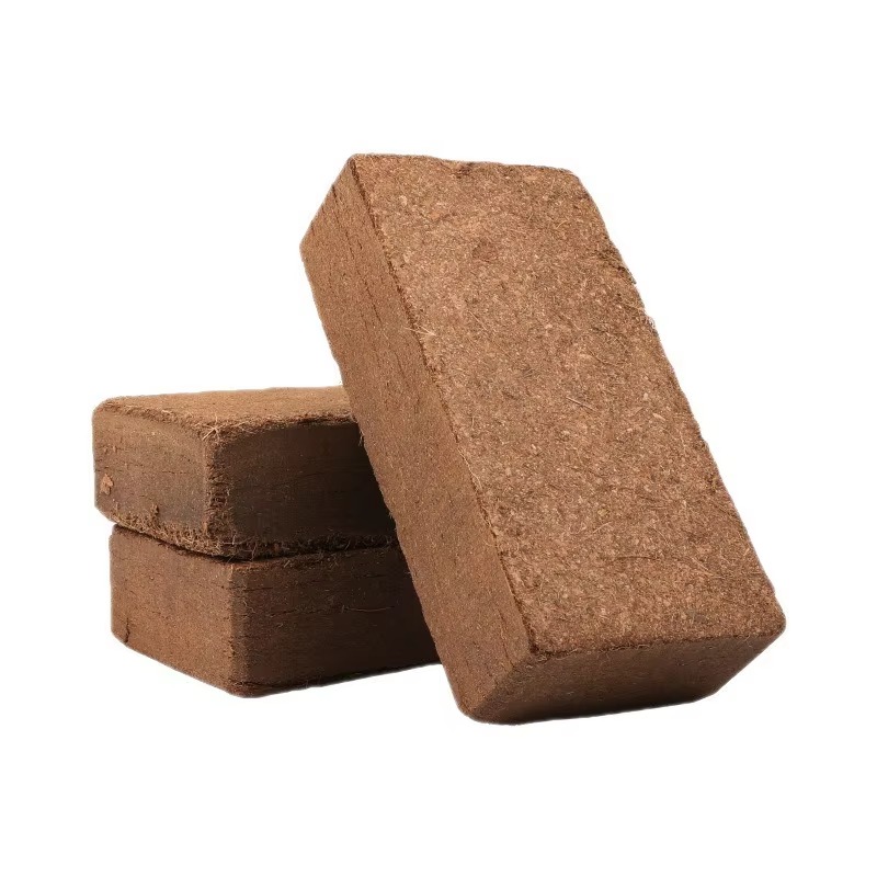 Podłoże dla gadów, prasowana c – Sphagnum Moss Dry recenzja i cena