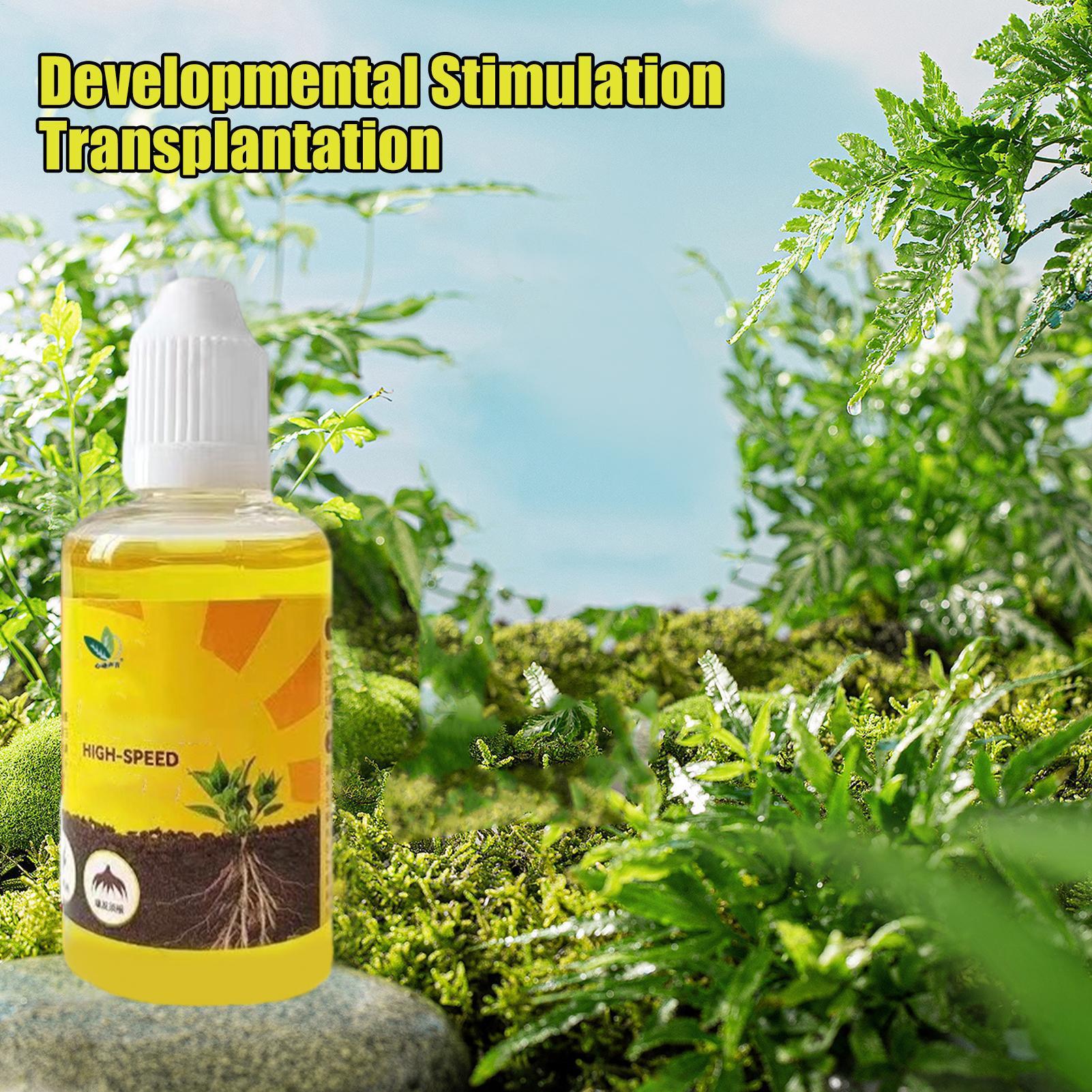 Płynny stymulator ukorzeniania – Root Stimulator Liquid recenzja i cena