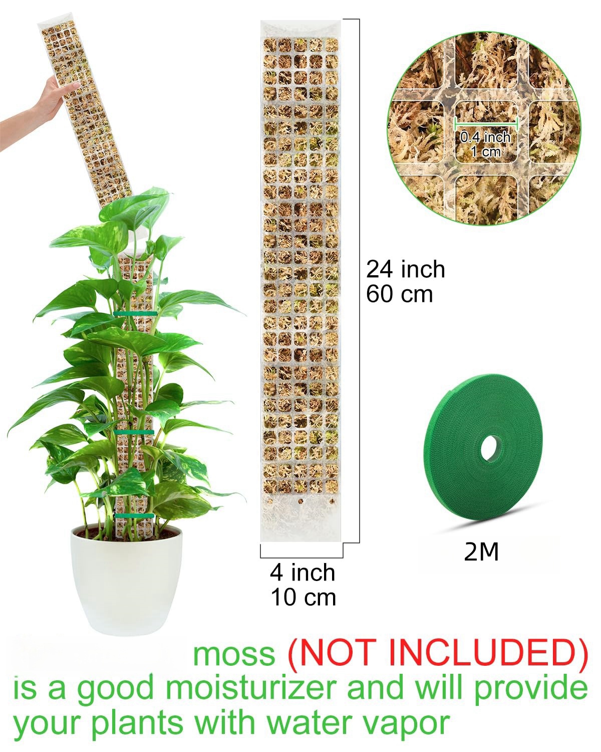 Rośliny Mech Słup Ogród Motyw  – Sphagnum Moss Dry recenzja i cena